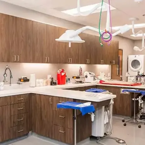 Operation Area Operation Area