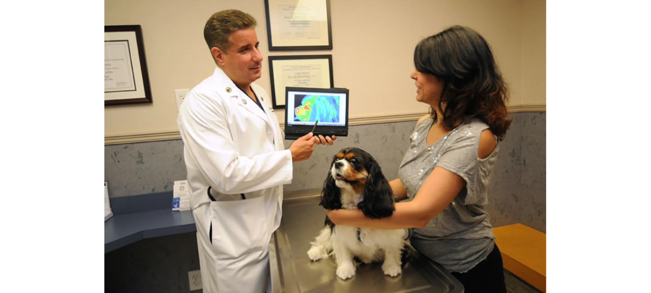 Discussing Examination Results Staff member discussing a scanned image of an examined dog to a client