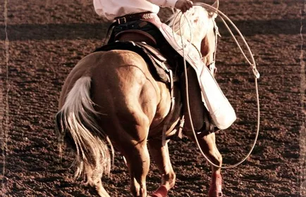 someone riding a horse.