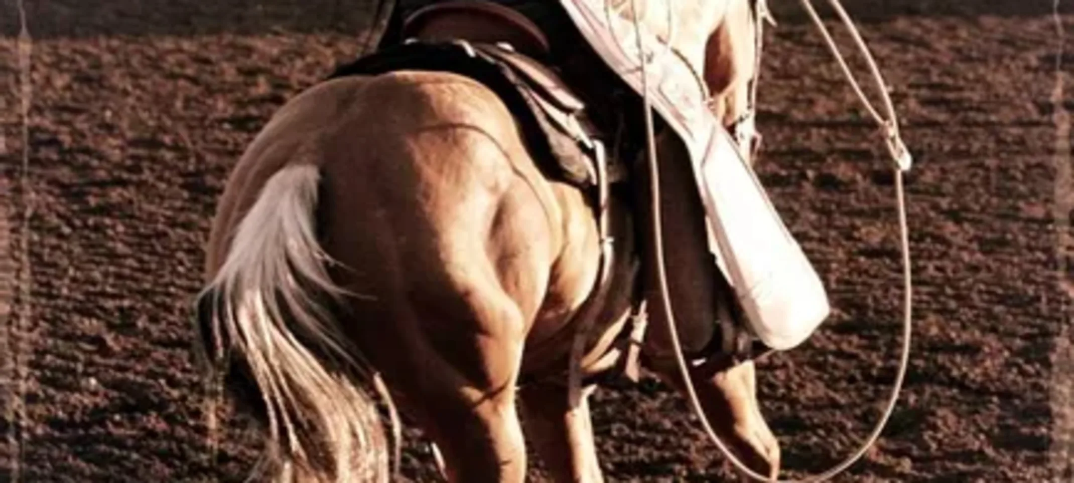 someone riding a horse. someone riding a horse.