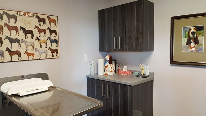 Large family consult room