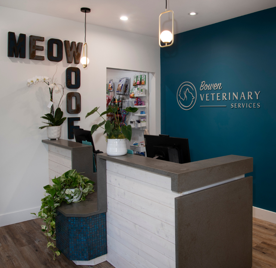 Reception desk with meow and woof signs on the wall