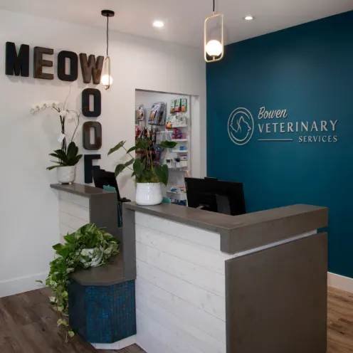 Reception desk with meow and woof signs on the wall