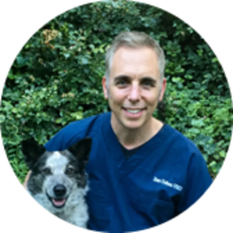 Ilan Cohen with dog Ilan Cohen with dog