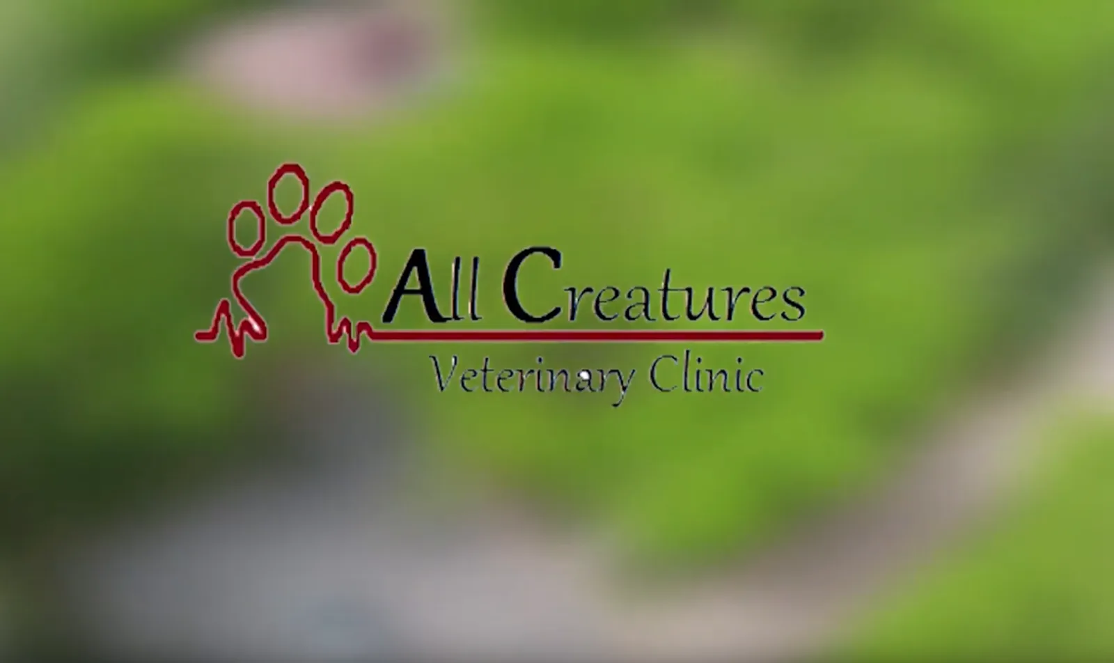 Video Thumbnail for All Creatures Veterinary Clinic showing the logo over some greenery