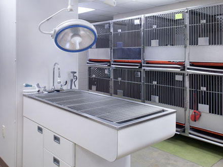 Kennel