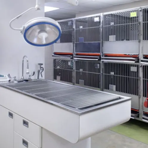 Kennel Kennel
