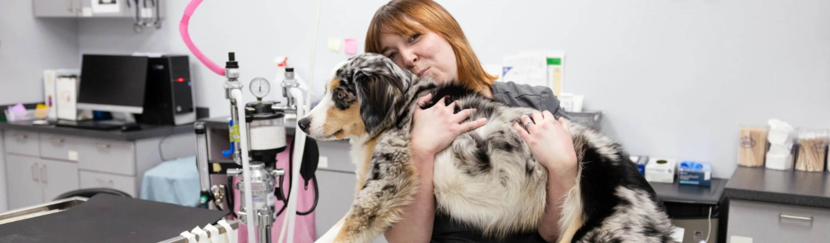 Staff member holding a spotted dog in exam room