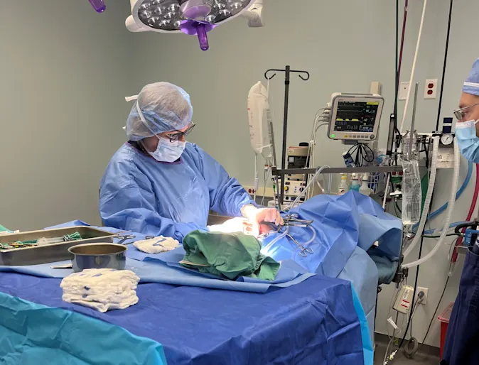 Dr. Culbert performing surgery Dr. Culbert performing surgery
