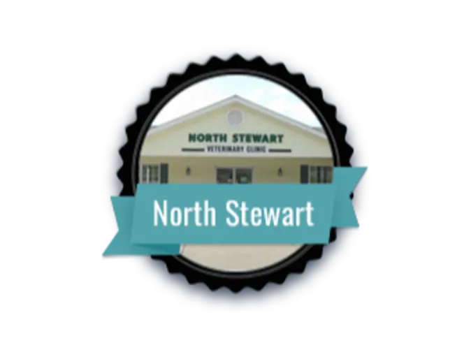 North Stewart Veterinary Clinic Exterior