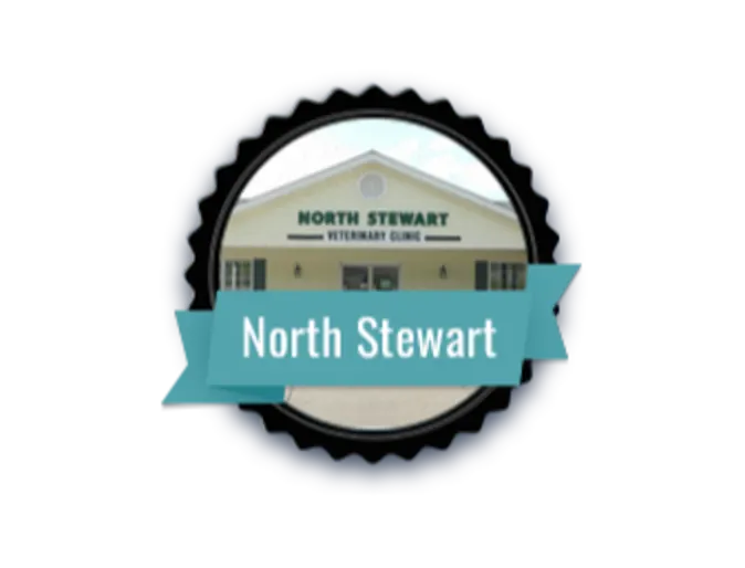 North Stewart Veterinary Clinic Exterior North Stewart Veterinary Clinic Exterior