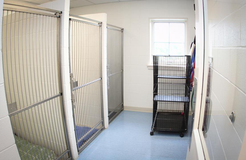 Kennel Ward
