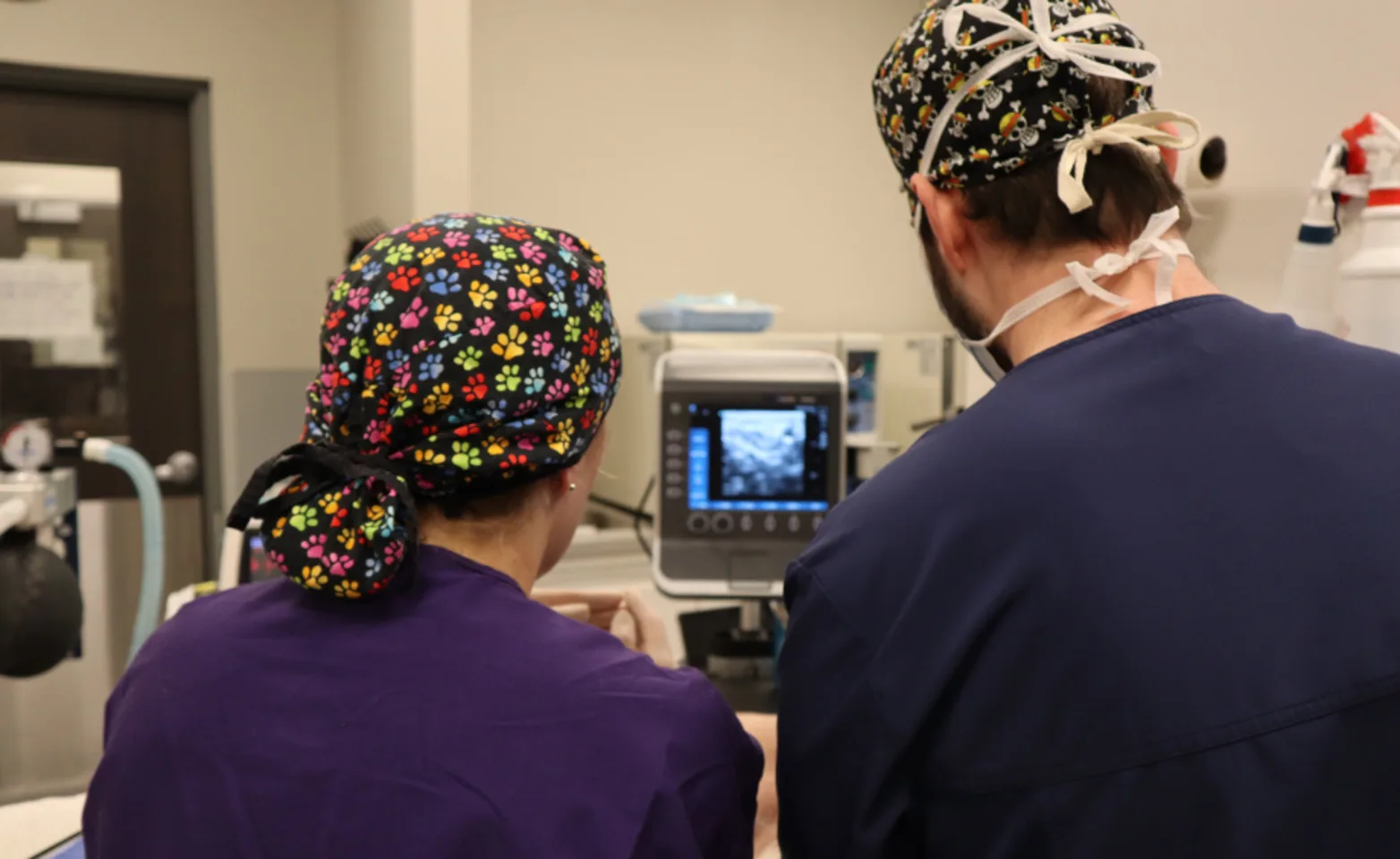 Two veterinarians facing apparatus Two veterinarians facing apparatus