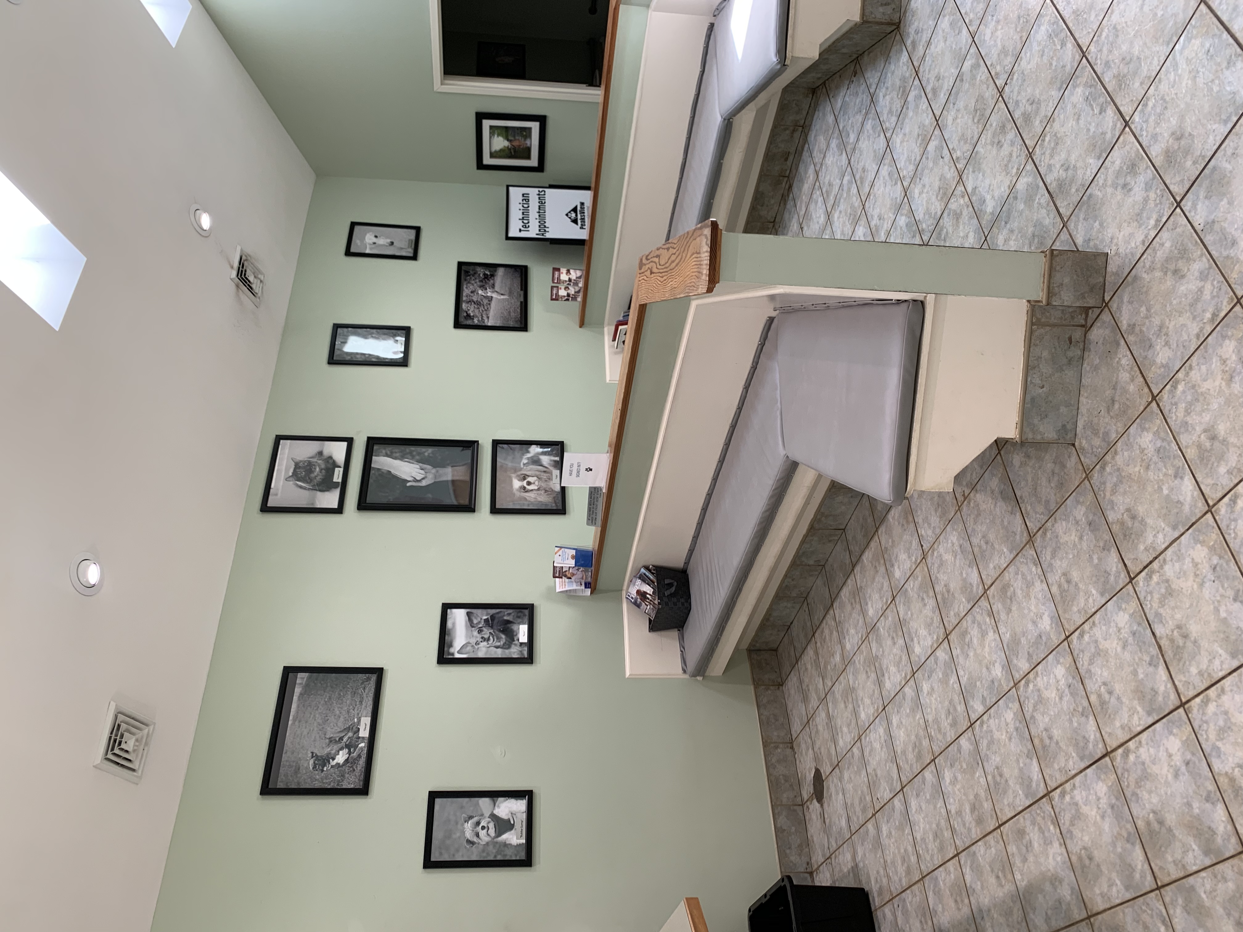 Waiting Area at Peaks View Animal Hospital