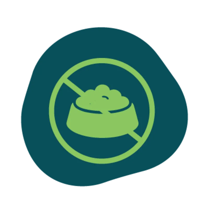 Icon of a food dish crossed out Icon of a food dish crossed out