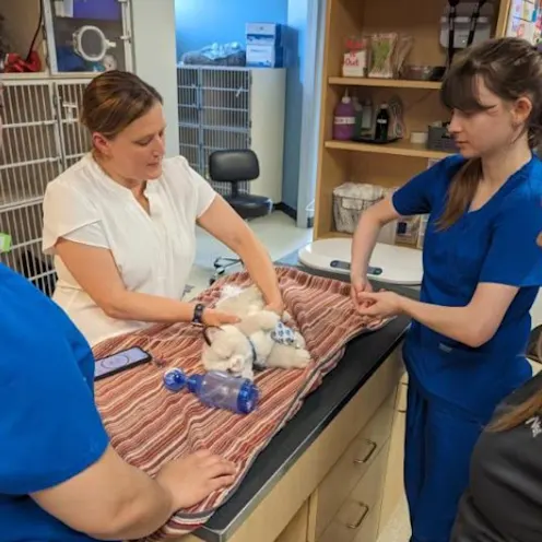 Learning CPR Learning CPR