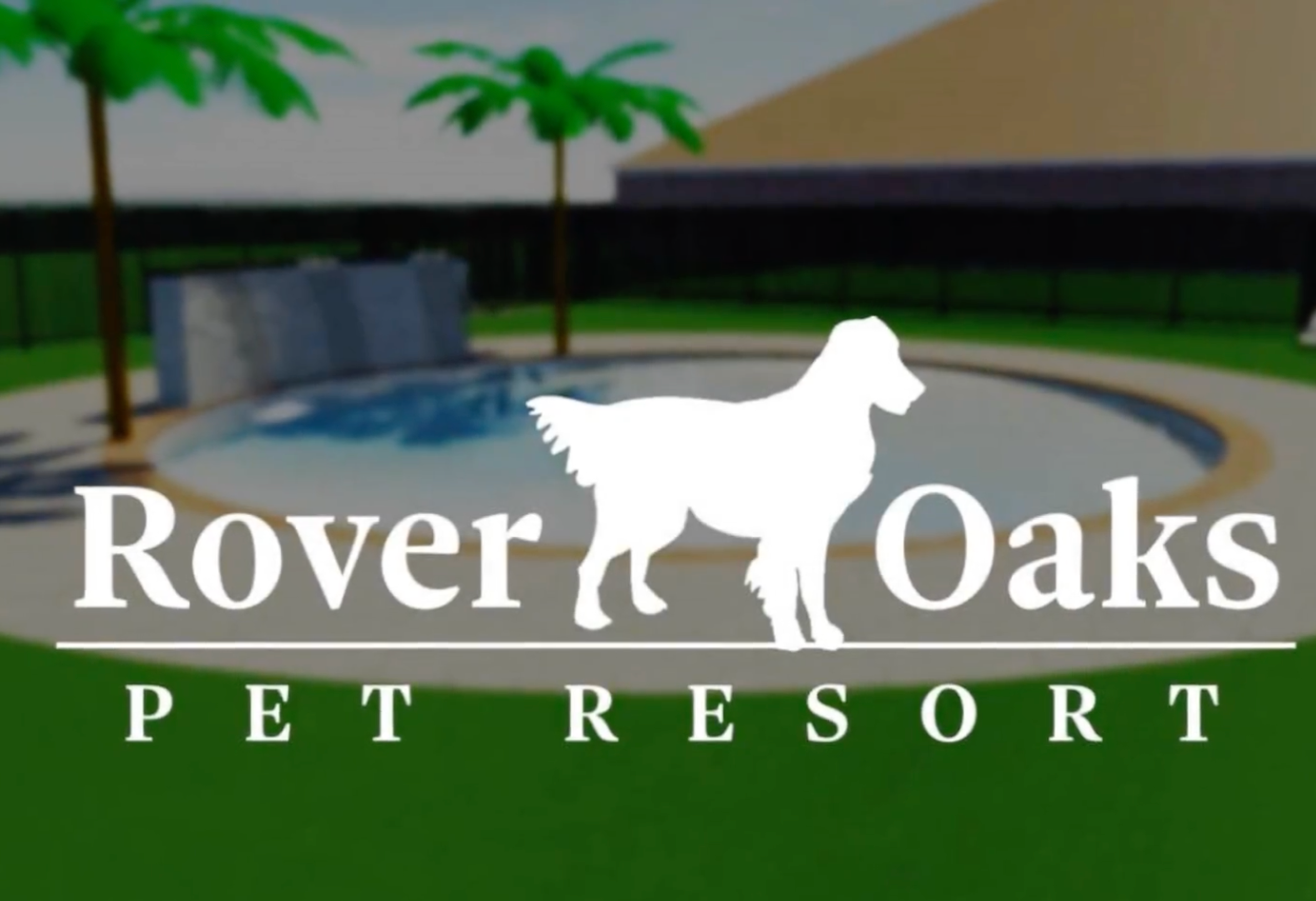 Pool Video Thumbnail