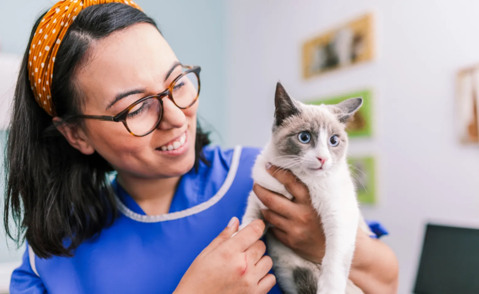 Woman Smiling and Examining Small White & Gray Cat Woman Smiling and Examining Small White & Gray Cat