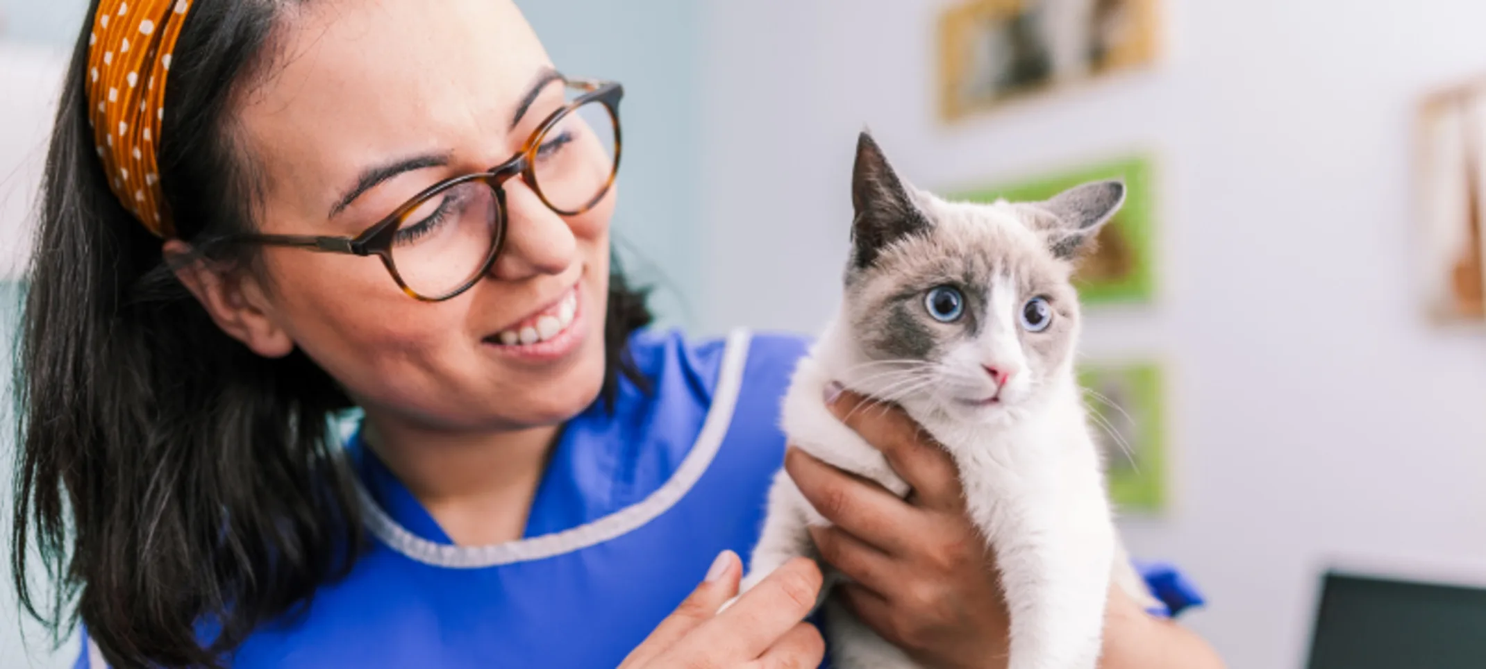 Woman Smiling and Examining Small White & Gray Cat Woman Smiling and Examining Small White & Gray Cat