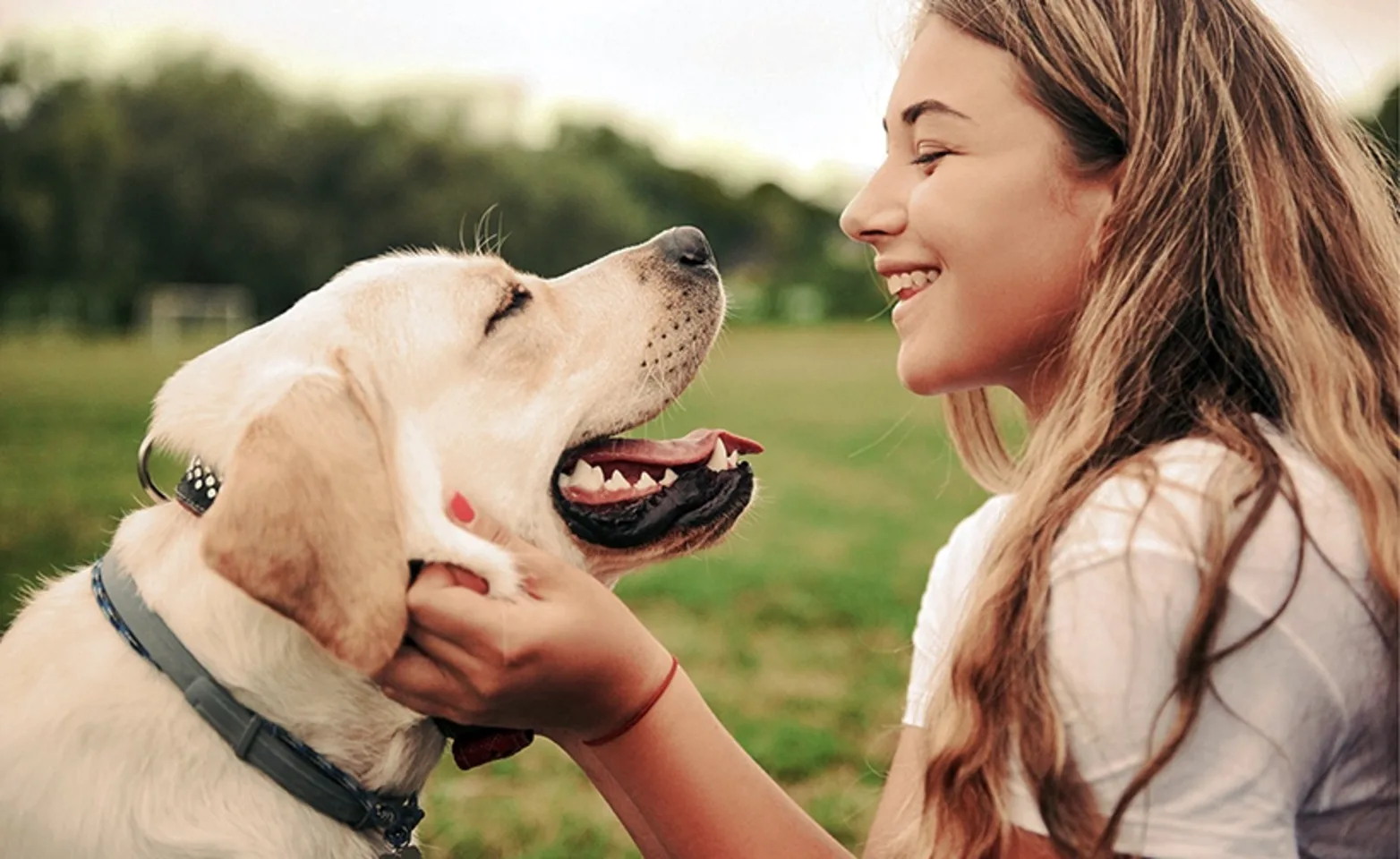 Woman smiling at dog 