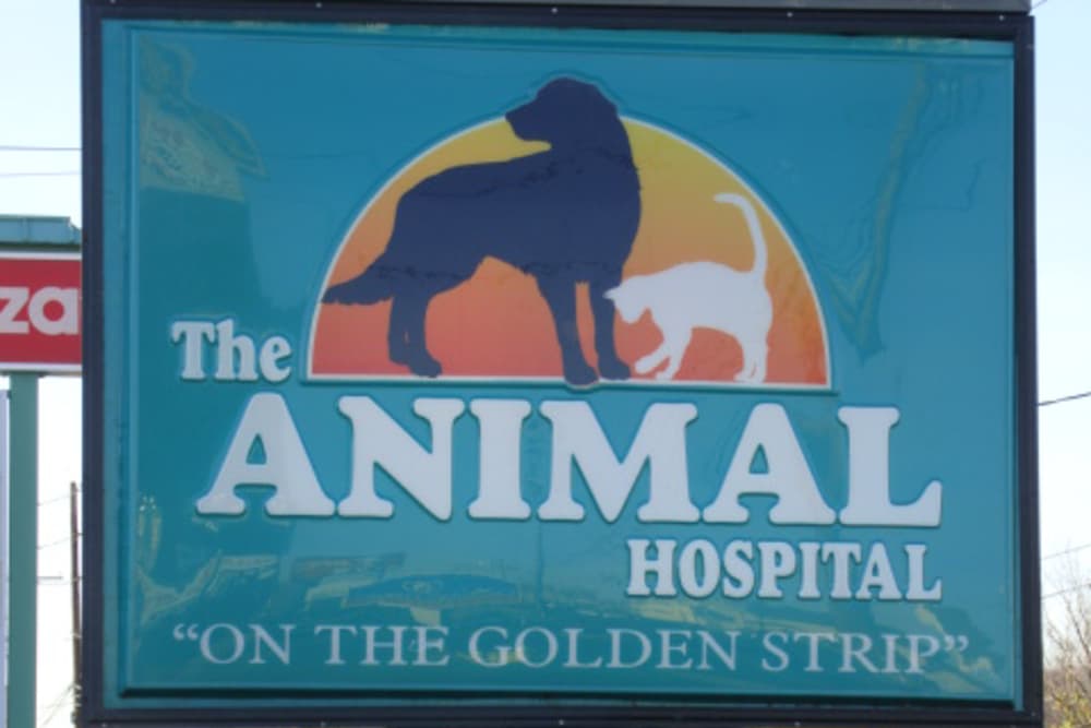 The Animal Hospital on the Golden Strip Sign