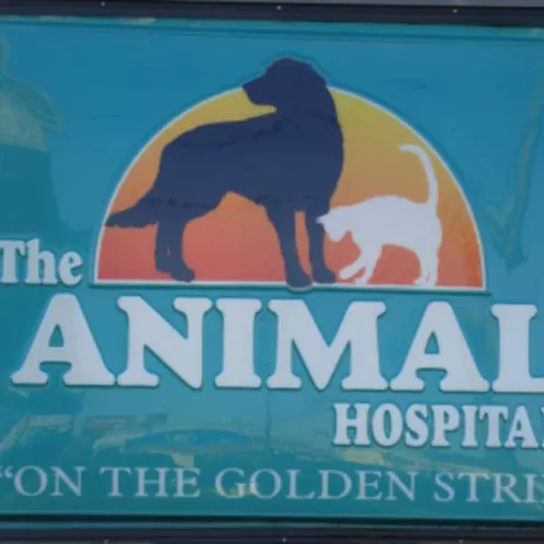 The Animal Hospital on the Golden Strip Sign