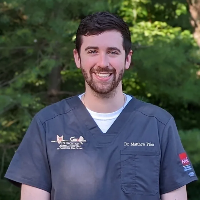 Dr. Matthew Prior Dr. Matthew Prior