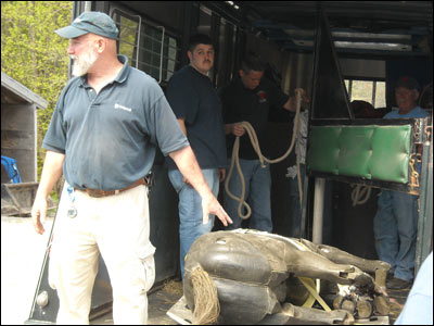 Equine Rescue Training 2