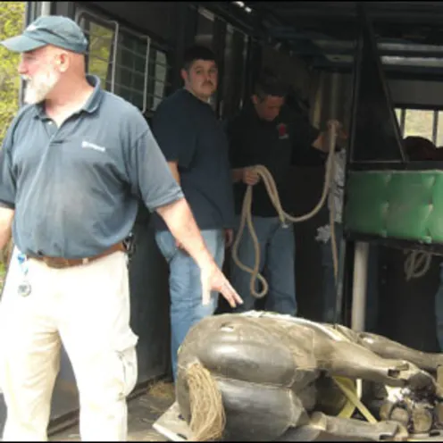 Equine Rescue Training 2 Equine Rescue Training 2