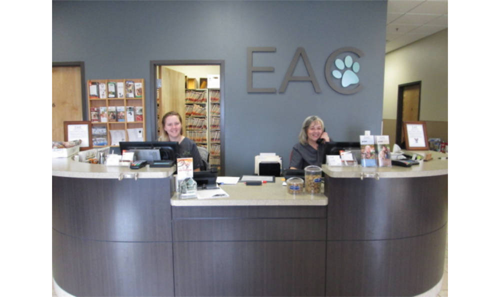  Eagle Animal Clinic Reception