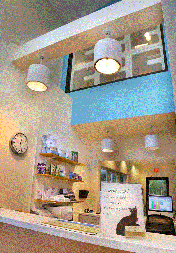 Austin Vet Hospital Check-In Counter