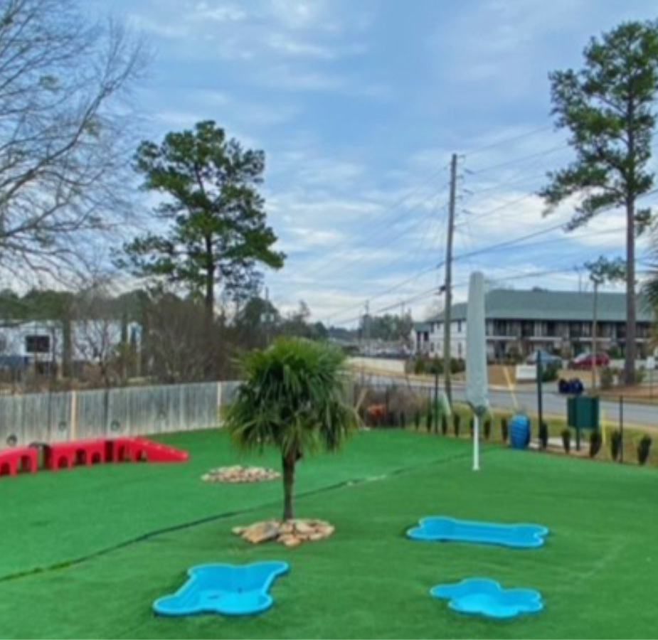 Inside look at Club Mutts