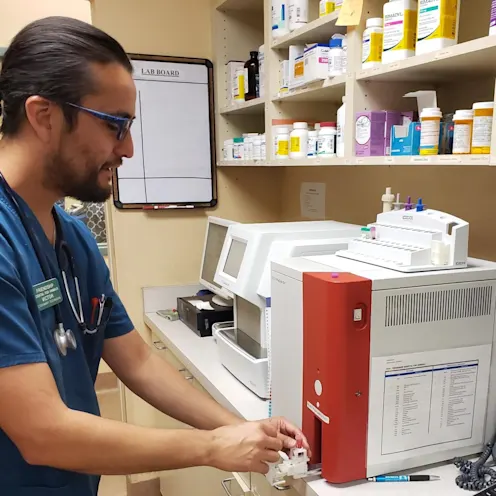 Veterinary technician in laboratory at Friendship Hospital for Animals Veterinary technician in laboratory at Friendship Hospital for Animals