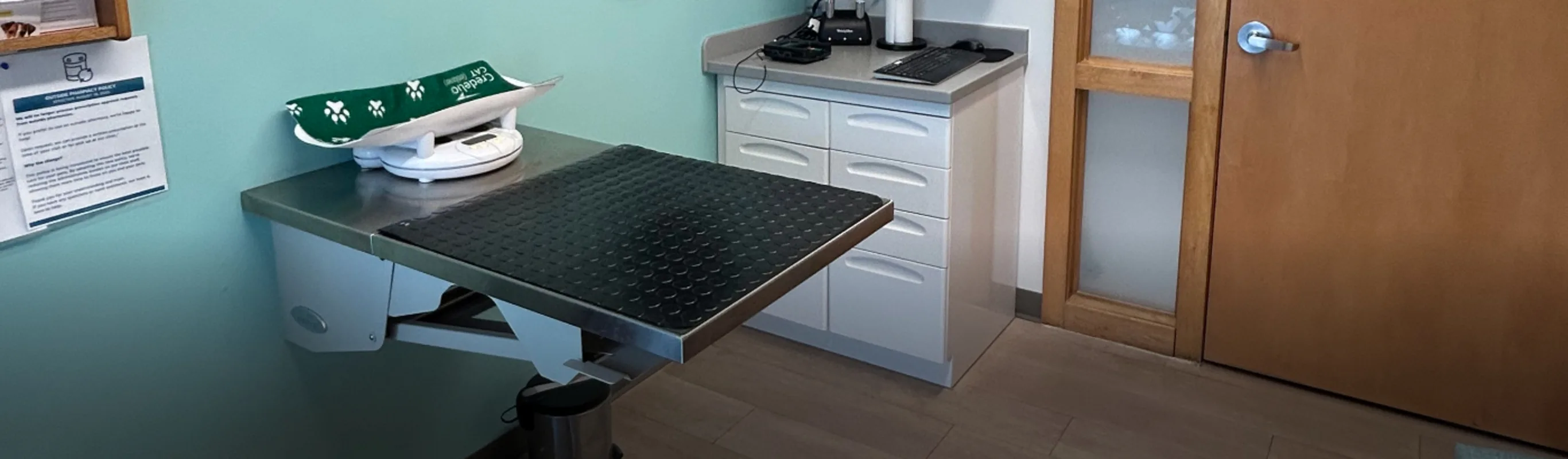 Exam Table at Tender Touch Animal Hospital Exam Table at Tender Touch Animal Hospital