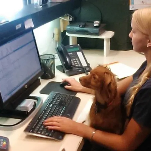 Staff member working on computer with lap dog at Merrimack Veterinary Hospital