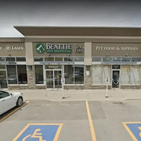 Beattie Pet Hospital - Stoney Creek Exterior Beattie Pet Hospital - Stoney Creek Exterior