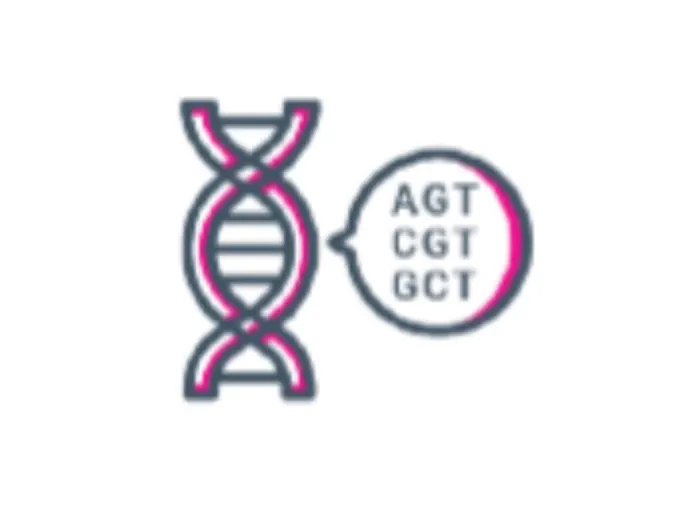A cartoon vector of DNA A cartoon vector of DNA