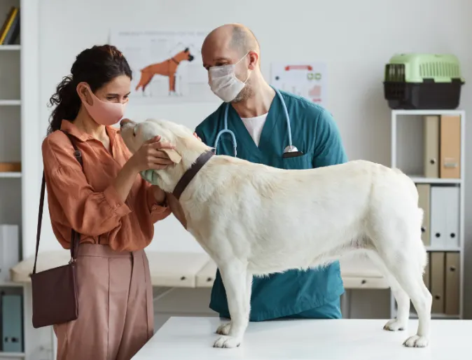 Veterinarian & Client Wearing Masks with White Dog