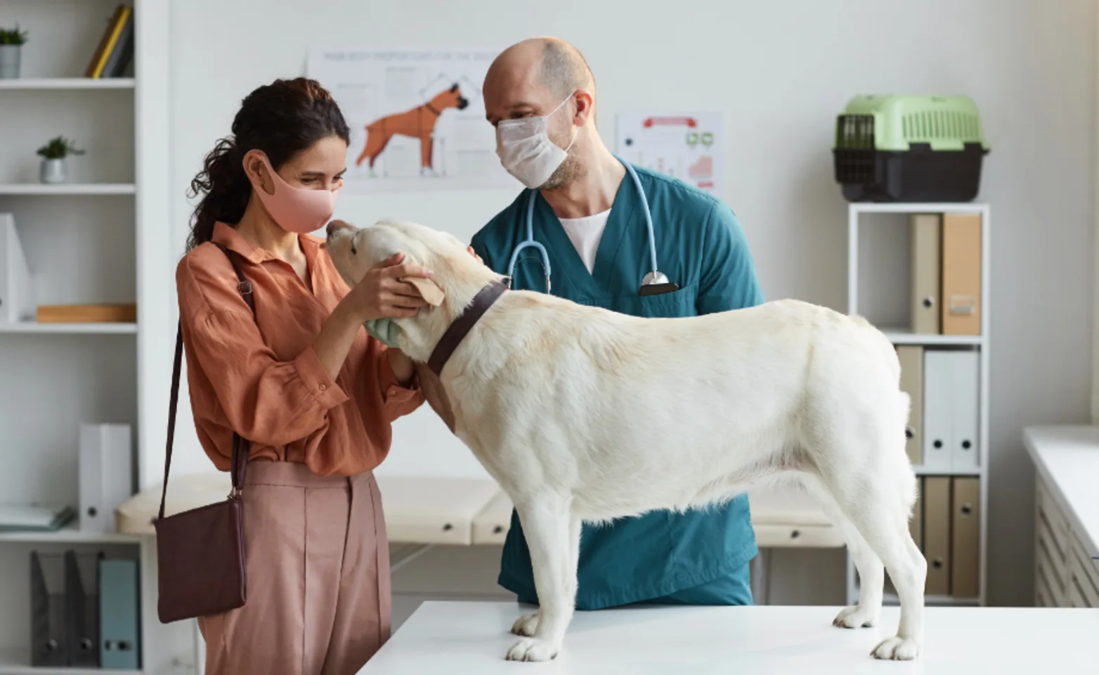 Veterinarian & Client Wearing Masks with White Dog