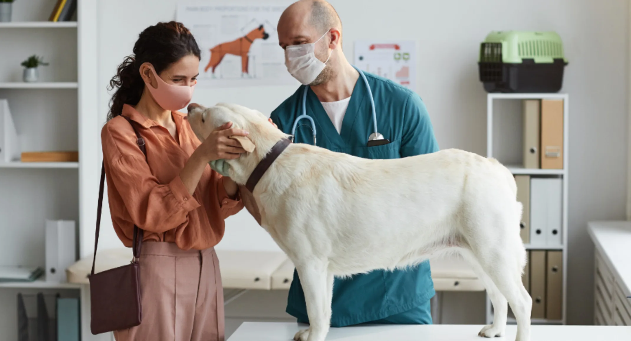 Veterinarian & Client Wearing Masks with White Dog Veterinarian & Client Wearing Masks with White Dog