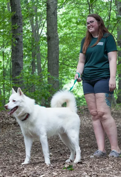 dog with bandanna dog with bandanna
