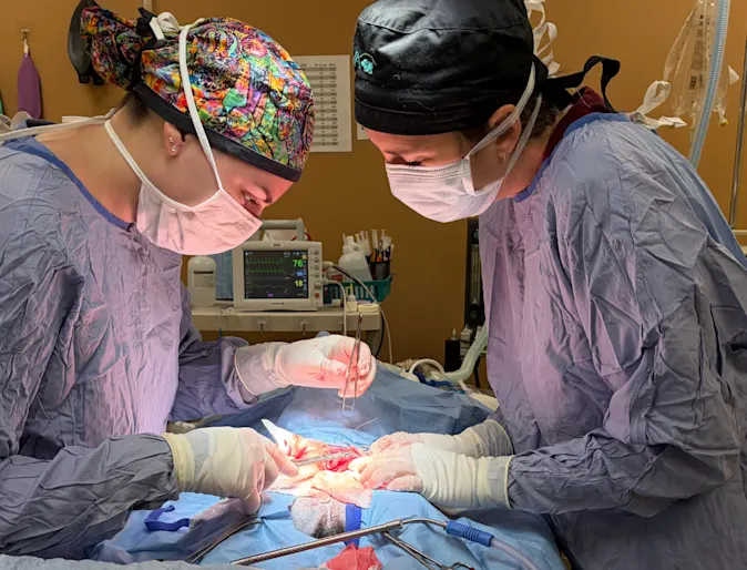 Meet Dr. Emily Doemland: The mentor turning self-doubt into surgical confidence Meet Dr. Emily Doemland: The mentor turning self-doubt into surgical confidence