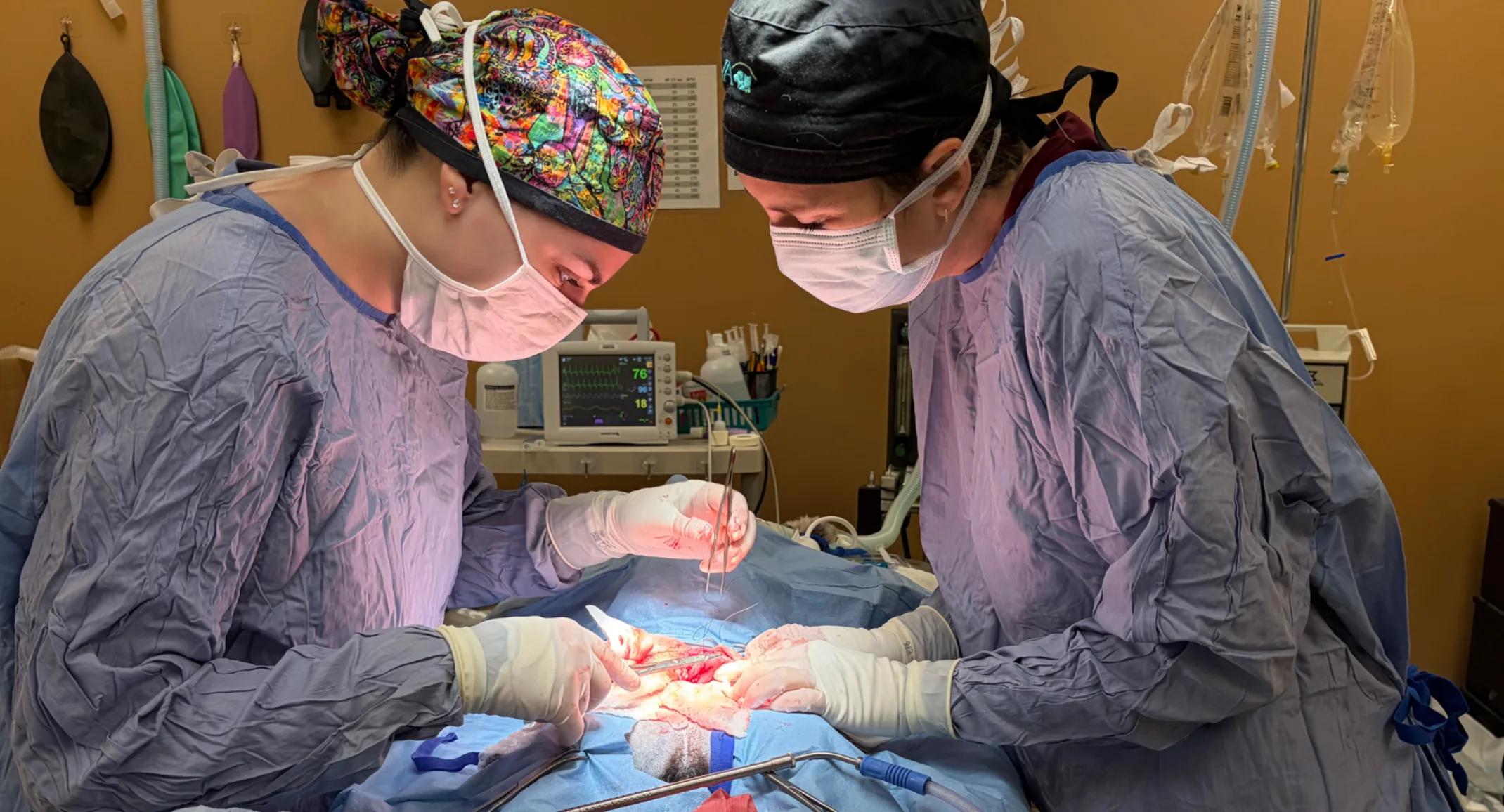 Meet Dr. Emily Doemland: The mentor turning self-doubt into surgical confidence Meet Dr. Emily Doemland: The mentor turning self-doubt into surgical confidence