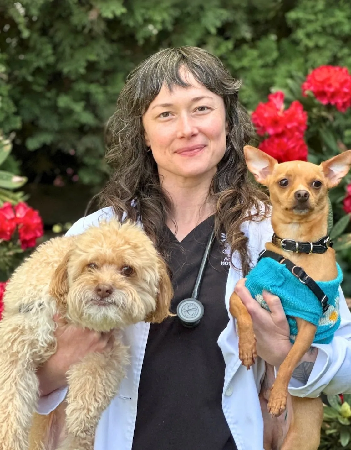 Nikki Wright Nikki Wright