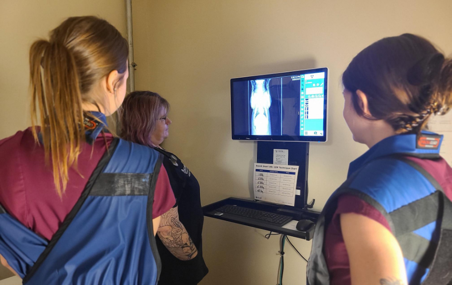 Emergency Vet in Midlothian, VA Virginia Veterinary Centers