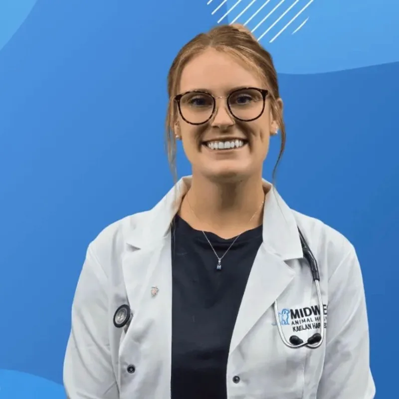 Dr. Kaelan Harmes Dr. Kaelan Harmes