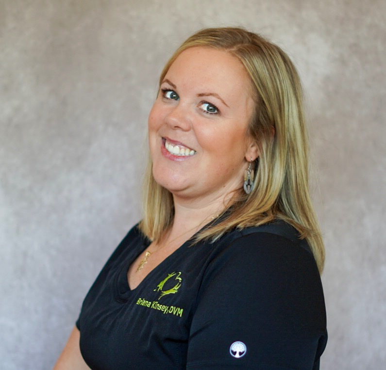 Brie Kinsey, DVM 