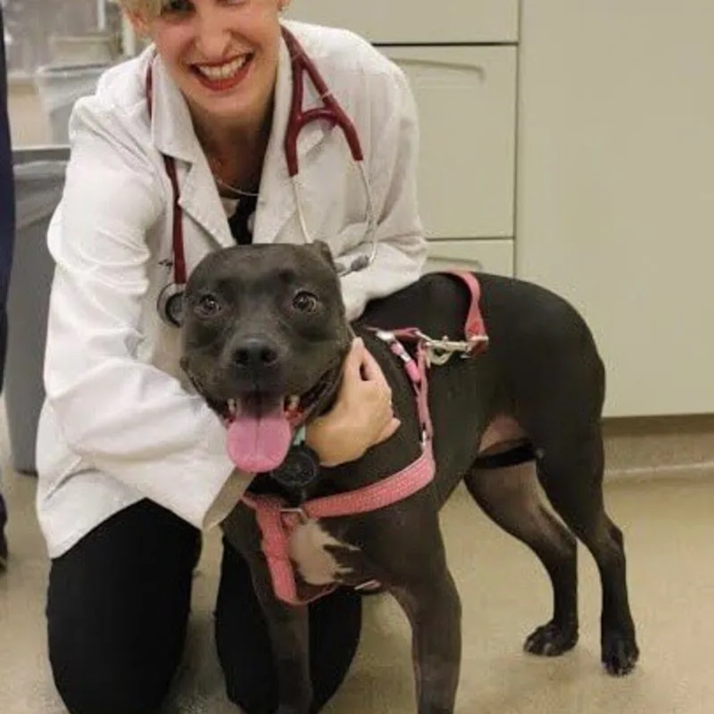 Khaleesi with Dr. Matzuka Khaleesi with Dr. Matzuka