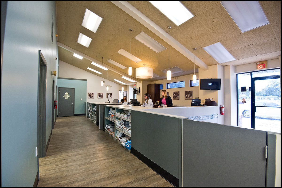 Ehrlich Animal Hospital and Arthritis Therapy 0437 - Reception