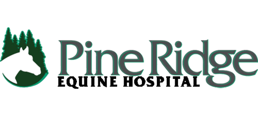 Pine Ridge Equine Hospital-HeaderLogo